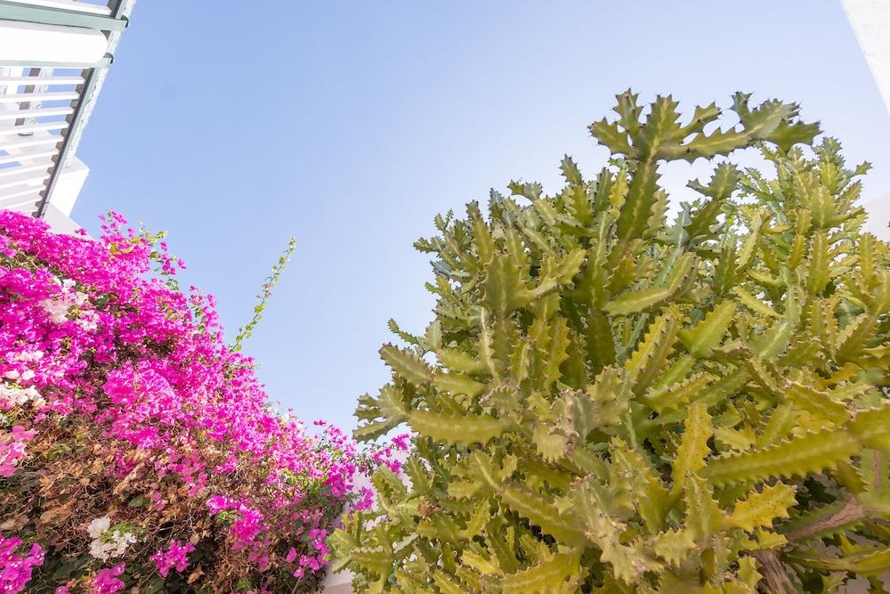 Bitacora Lanzarote Club Lejlighed Puerto del Carmen  Eksteriør billede